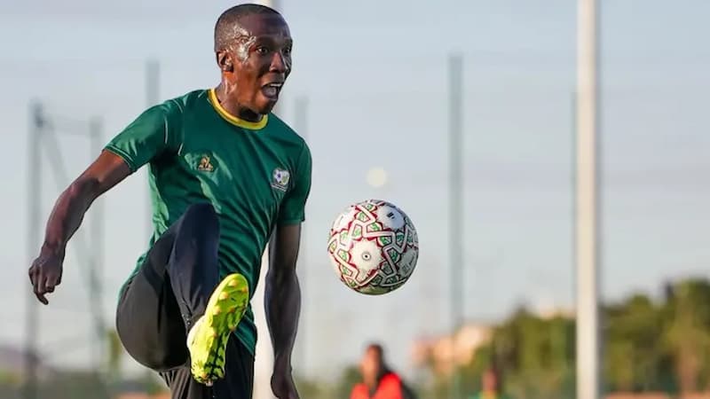 Analisis odds dan prediksi taruhan Afrika Selatan vs Panama