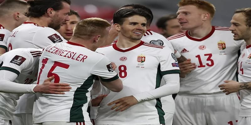 Analisis Taruhan dan Prediksi Odds Hungary vs Slovenia