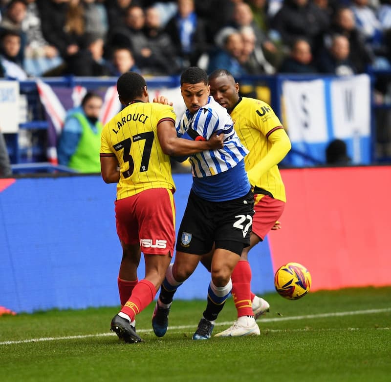 Prediksi Over/Under Sheffield Wed vs Watford