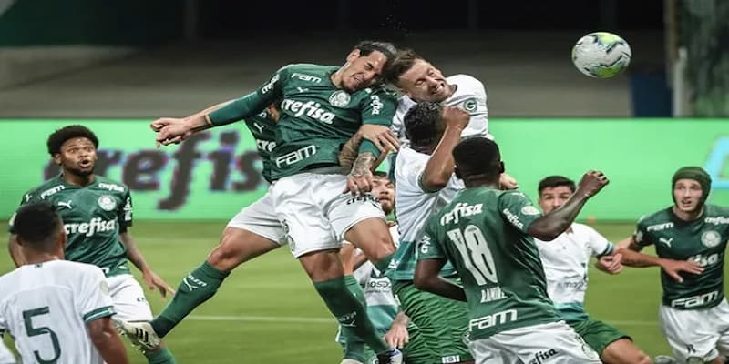 Prediksi Pasaran Bola, Skor dan Taruhan Cerro Porteno vs Palmeiras